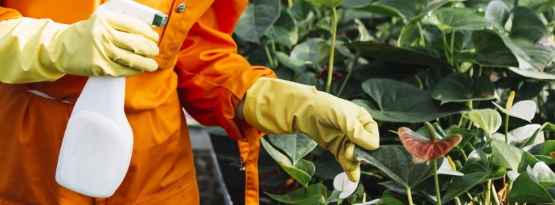 Bioplaguicidas: una química más eficiente, menos tóxica y más segura contra las plagas